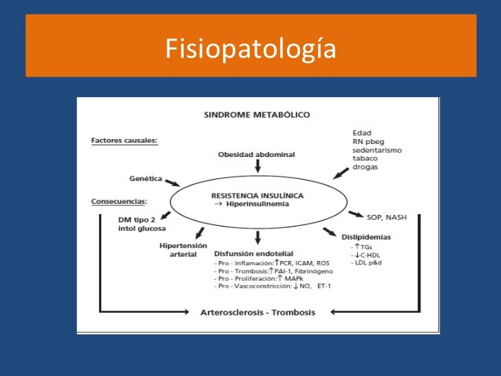 Sindrome Metabolico Sindrome Metabolico
