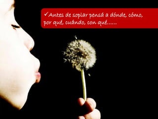 Antes de soplar pensá a dónde, cómo,
por qué, cuándo, con qué……
 