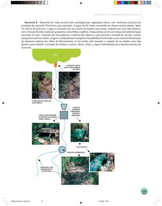 29
P R E S E R V A Ç Ã O E C O N S E R V A Ç Ã O D A S N A S C E N T E S
Nascente 8 - Nascente de meia encosta bem protegida por vegetação nativa, sem nenhuma estrutura de
proteção da nascente (Trincheira, por exemplo). A água sai do mato, escoando em dreno natural aberto. Após
10 metros de percurso, a água é recebida por um monte de pedras tipo seixos, coberto por uma tela plástica,
com a função de reter materiais grosseiros como folhas e galhos. A água então cai em um tanque de sedimentação
escavado no solo, revestido por lona plástica e coberto por tábuas, o que permite a entrada de vermes, insetos
e pequenos animais. Deste, a água é conduzida por mangueira de polietileno enterrada a uma caixa de distribuição
de alvenaria coberta por folha de fibrocimento, aí sim tendo sido tomado o cuidado de se instalar uma tela
plástica para impedir a entrada de insetos e outros. Desta, então, a água é distribuída para diversos pontos de
consumo.
Cartilha Nascentes_final.pmd 11/7/2006, 10:3429
 