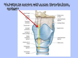 It’s better to notch is witheasiest than die from
The thyroid survive the a scar, bit of anatomy
asphyxia
to feel.

 