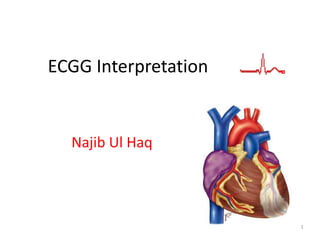 1
ECGG Interpretation
Najib Ul Haq
 
