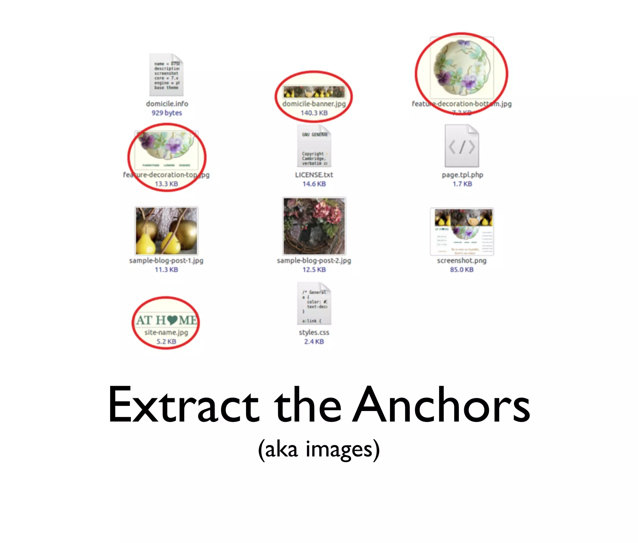 Extract the Anchors
(aka images)

 
