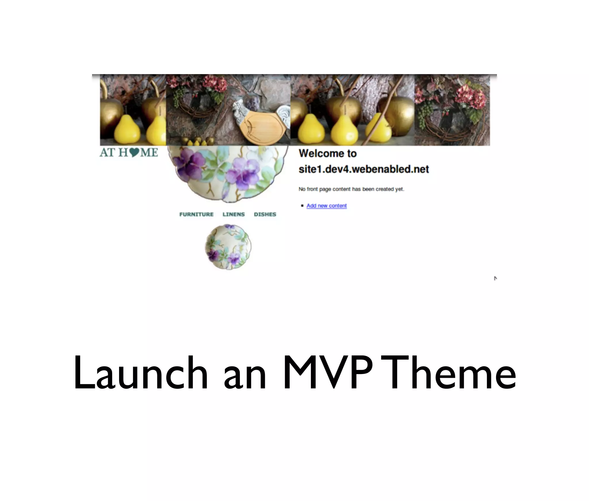 Launch an MVP Theme

 