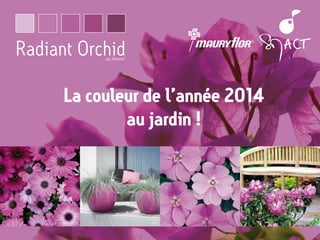 Radiant Orchid
par Pantone

®

La couleur de l’année 2014
au jardin !

©Elho

 