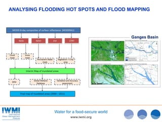 www.iwmi.org
Water for a food-secure world
ANALYSING FLOODING HOT SPOTS AND FLOOD MAPPING
Ganges Basin
 