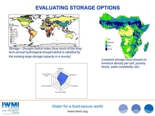 www.iwmi.org
Water for a food-secure world
EVALUATING STORAGE OPTIONS
Storage – Drought Deficit Index (how much of the long-
term annual hydrological drought deficit is satisfied by
the existing large storage capacity in a county)
Livestock storage need (based on
livestock density per cell, poverty
levels, water availability, etc)
 