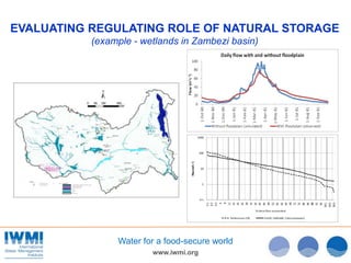 www.iwmi.org
Water for a food-secure world
EVALUATING REGULATING ROLE OF NATURAL STORAGE
(example - wetlands in Zambezi basin)
 
