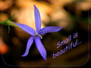 Small is beautiful… 