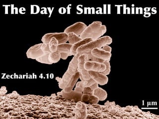 The Day of Small Things




Zechariah 4.10
 