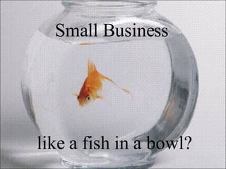 Small Business  like a fish in a bowl? 