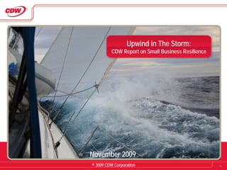 Upwind in The Storm:
         CDW Report on Small Business Resilience




November 2009
© 2009 CDW Corporation                             1
 