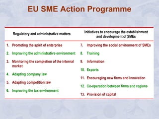 EU SME Action Programme 