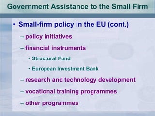 Government Assistance to the Small Firm Small-firm policy in the EU (cont.) policy initiatives financial instruments Structural Fund European Investment Bank research and technology development vocational training programmes other programmes 