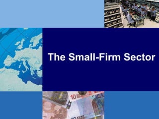 The Small-Firm Sector 