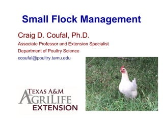 Small Flock Management
Craig D. Coufal, Ph.D.
Associate Professor and Extension Specialist
Department of Poultry Science
ccoufal@poultry.tamu.edu
 