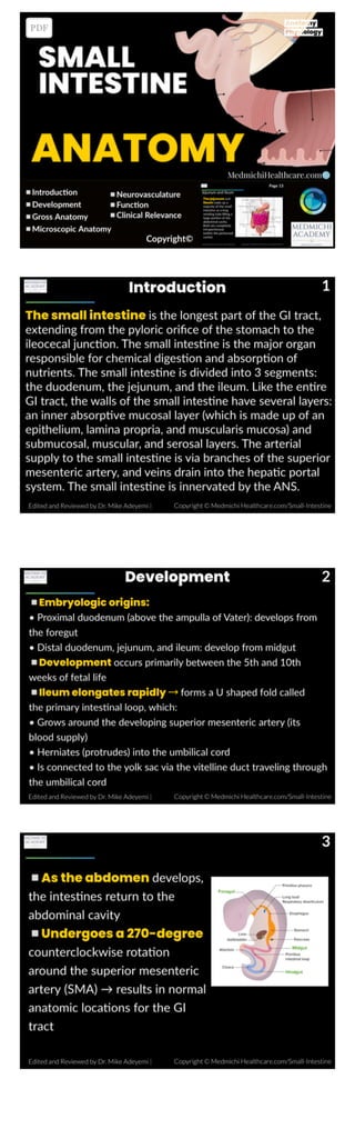 small-intestine-anatomy-.pdf