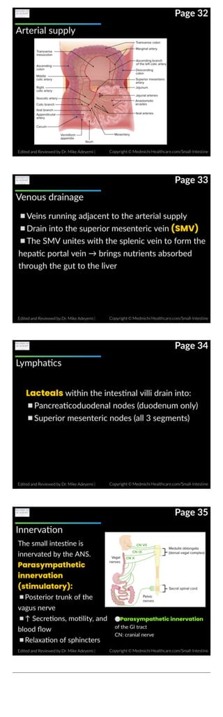 small-intestine-anatomy-.pdf
