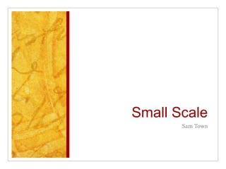 Small Scale ,[object Object]