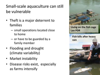 Small scale aquaculture: diversifying livelihoods and adding value to ...