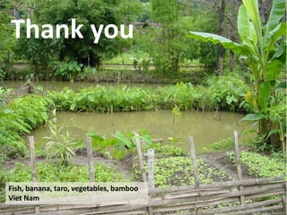 Small scale aquaculture: diversifying livelihoods and adding value to ...