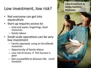 Small scale aquaculture: diversifying livelihoods and adding value to ...