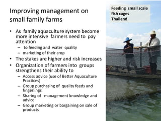Small scale aquaculture: diversifying livelihoods and adding value to ...