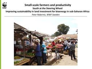 Small-scale farmers and productivity
South at the Steering Wheel
Improving sustainability in land investment for bioenergy in sub-Saharan Africa
Peter Roberntz, WWF Sweden
 
