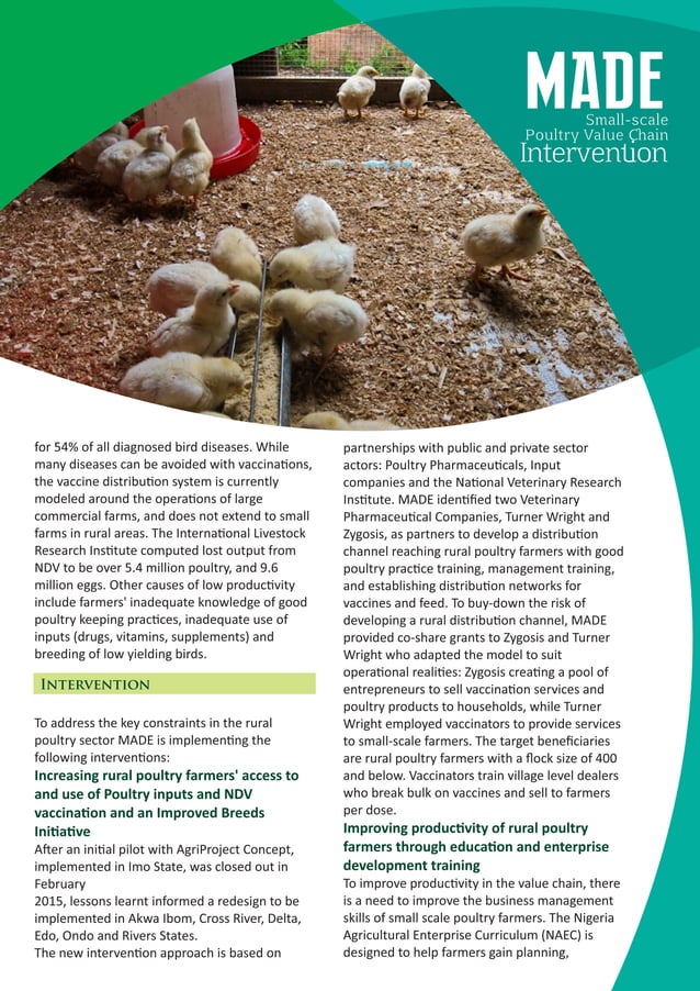 Small Scale Poultry Value Chain Intervention PDF