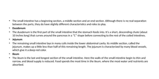 • The small intestine has a beginning section, a middle section and an end section. Although there is no real separation
between the parts, they do have slightly different characteristics and roles to play.
• Duodenum
• The duodenum is the first part of the small intestine that the stomach feeds into. It’s a short, descending chute (about
10 inches long) that curves around the pancreas in a “C” shape before connecting to the rest of the coiled intestines.
• Jejunum
• The remaining small intestine lays in many coils inside the lower abdominal cavity. Its middle section, called the
jejunum, makes up a little less than half of this remaining length. The jejunum is characterized by many blood vessels,
which give it a deep red color.
• Ileum
• The ileum is the last and longest section of the small intestine. Here the walls of the small intestine begin to thin and
narrow, and blood supply is reduced. Food spends the most time in the ileum, where the most water and nutrients are
absorbed.
 