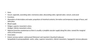 • Parts
• Cecum, appendix, ascending colon, transverse colon, descending colon, sigmoid colon, rectum, anal canal
• Functions
• Absorption of electrolytes and water, propulsion of intestinal contents, formation and temporary storage of feces, and
defecation
• Blood supply
• Midgut: superior mesenteric artery
Hindgut: inferior mesenteric artery
• Adjacent branches anastomose so there is usually a complete vascular supply along the colon, named the marginal
artery of Drummond.
• Innervation
• Enteric nervous system: submucosal (Meissner) and myenteric (Auerbach) plexuses
Sympathetic & parasympathetic: aortic, celiac, superior mesenteric, inferior mesenteric, hypogastric nervous plexuses
 
