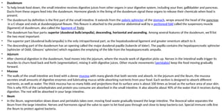 • Duodenum
• To help break food down, the small intestine receives digestive juices from other organs in your digestive system, including your liver, gallbladder and pancreas.
Ducts from these organs feed into the duodenum. Hormone glands in the lining of the duodenum signal these organs to release their chemicals when food is
present.
• The duodenum by definition is the first part of the small intestine. It extends from the pyloric sphincter of the stomach, wraps around the head of the pancreas
in a C-shape and ends at duodenojejunal flexure. This flexure is attached to the posterior abdominal wall by a peritoneal fold called the suspensory muscle
(ligament) of duodenum, also called the ligament of Treitz.
• The duodenum has four parts: superior (duodenal bulb/ampulla), descending, horizontal and ascending. Among several features of the duodenum, we’ll list
the two most important:
• The superior part (duodenal bulb/ampulla) is the only intraperitoneal part, as the hepatoduodenal ligament and greater omentum attach to it.
• The descending part of the duodenum has an opening called the major duodenal papilla (tubercle of Vater). The papilla contains the hepatopancreatic sphincter
(sphincter of Oddi, Glissons’ sphincter) which regulates the emptying of the bile from the hepatopancreatic ampulla.
• Jejunum
• After chemical digestion in the duodenum, food moves into the jejunum, where the muscle work of digestion picks up. Nerves in the intestinal walls trigger its
muscles to churn food back and forth (segmentation), mixing it with digestive juices. Other muscle movements (peristalsis) keep the food moving gradually
forward.
• Mucosa
• The walls of the small intestine are lined with a dense mucosa with many glands that both secrete and absorb. In the jejunum and the ileum, the mucosa
secretes small amounts of digestive enzymes and lubricating mucus while absorbing nutrients from your food. Each section is designed to absorb different
nutrients, as well as water. The thick mucosa has so many folds and projections that its surface area is about 100 times as broad as the surface area of your skin.
This is why 95% of the carbohydrates and protein you consume are absorbed in the small intestine. It also absorbs about 90% of the water that it receives during
digestion. The rest will be absorbed in your large intestine.
• Ileum
• In the ileum, segmentation slows down and peristalsis takes over, moving food waste gradually toward the large intestine. The ileocecal valve separates the
ileum from the large intestine. Nerves and hormones signal the valve to open to let food pass through and close to keep bacteria out. Special immune cells line
the ileum to protect against bacteria.
 