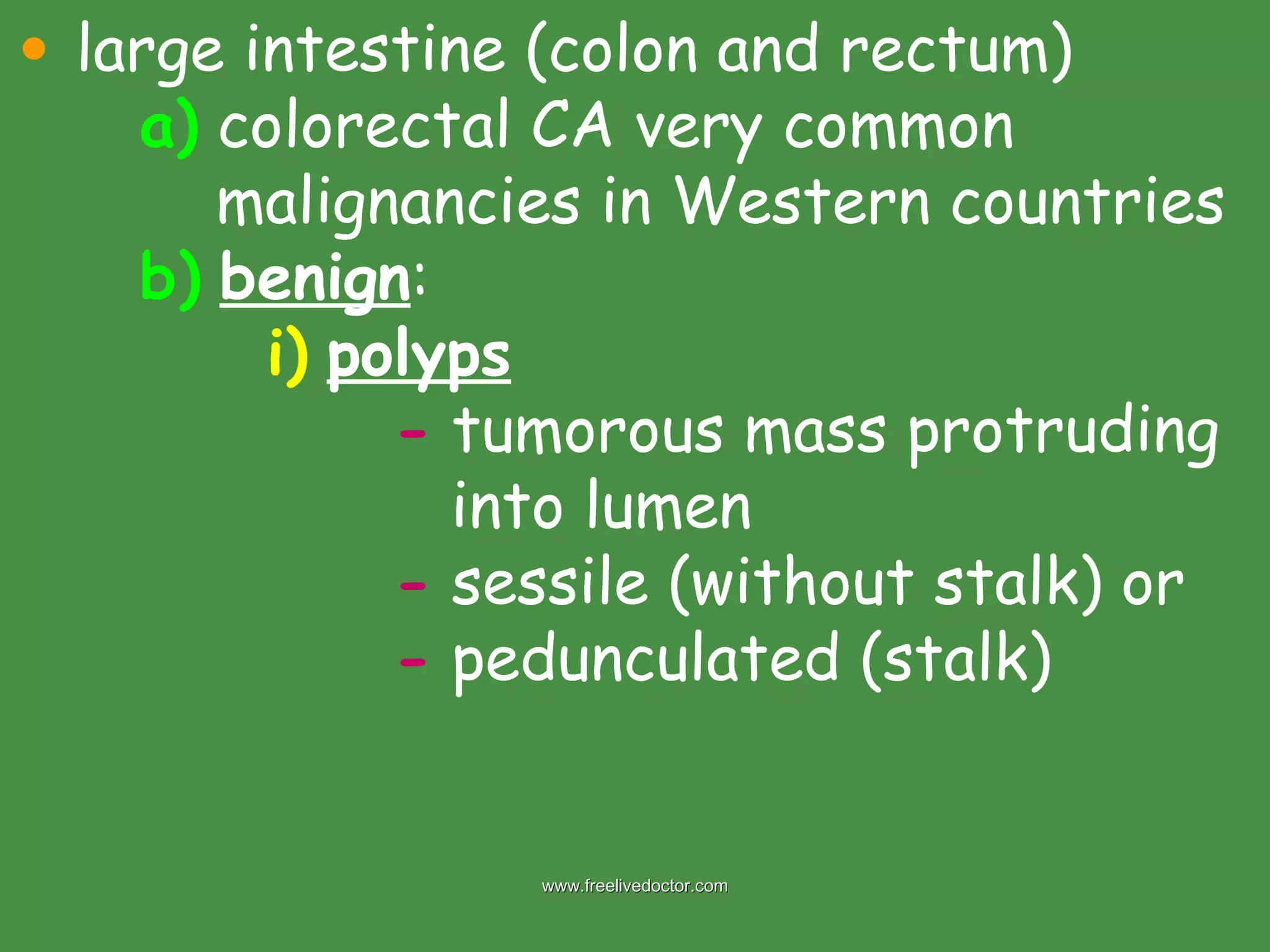 large intestine (colon and rectum) a)  colorectal CA very common      malignancies in Western countries b)   benign : i)   polyps -  tumorous mass protruding    into lumen -  sessile (without stalk) or -  pedunculated (stalk) www.freelivedoctor.com 