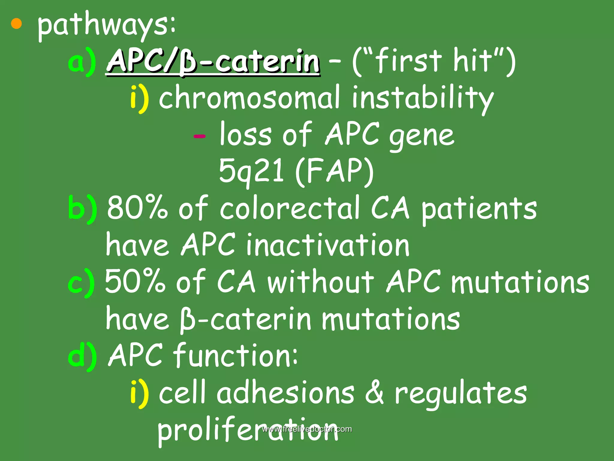 pathways: a)   APC/ β -caterin  – (“first hit”) i)  chromosomal instability -  loss of APC gene   5q21 (FAP) b)  80% of colorectal CA patients    have APC inactivation c)  50% of CA without APC mutations    have  β -caterin mutations d)  APC function: i)  cell adhesions & regulates    proliferation www.freelivedoctor.com 