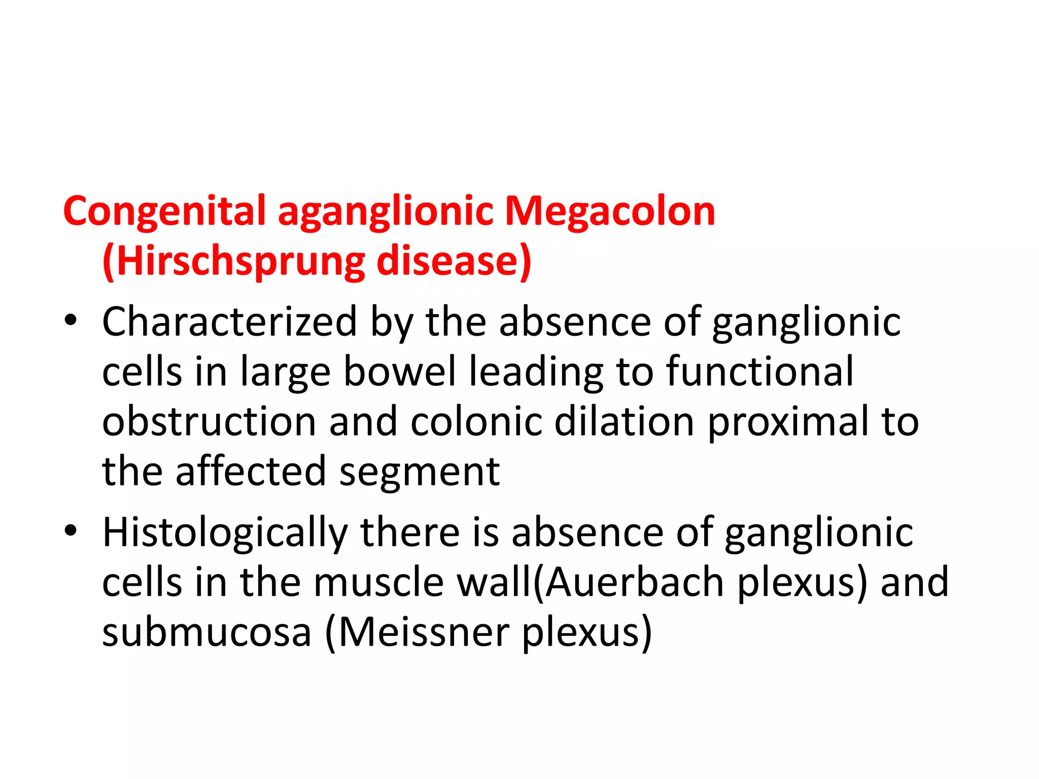 Small and Large intestines.pptx