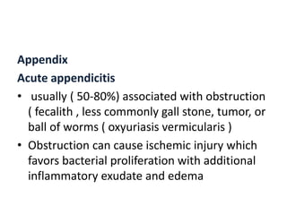 Small and Large intestines.pptx