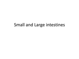 Small and Large intestines
 