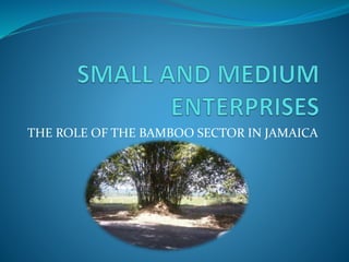 THE ROLE OF THE BAMBOO SECTOR IN JAMAICA
 