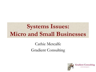 Systems Issues:Micro and Small Businesses Cathie Metcalfe Gradient Consulting 