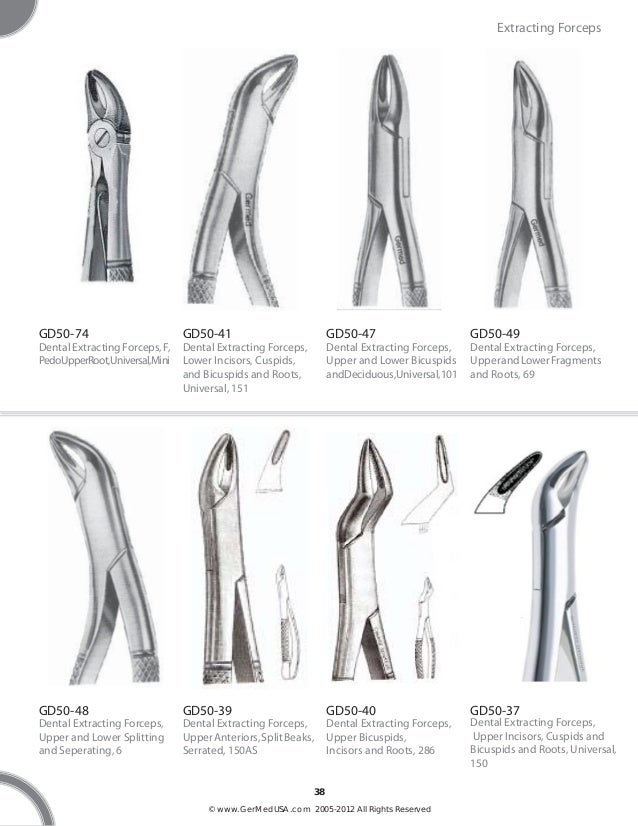 GermedUSA Small animal dental instruments