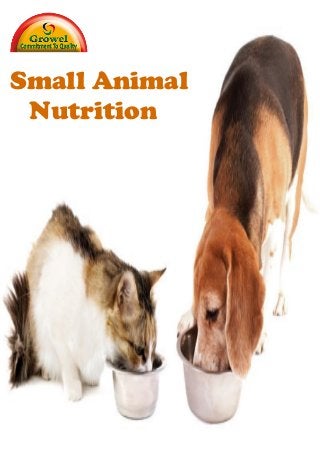 Small Animal
Nutrition
 