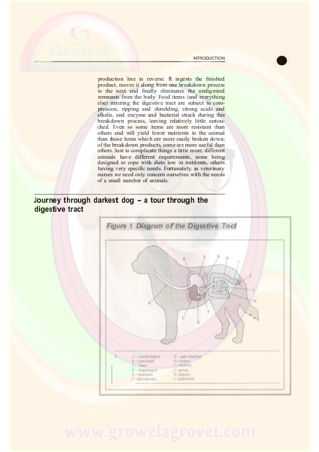Small Animal Nutrition