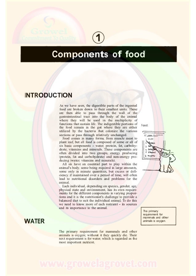 Small Animal Nutrition
