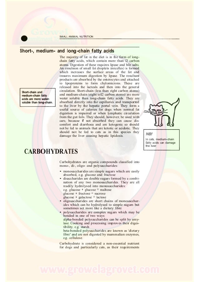 Small Animal Nutrition