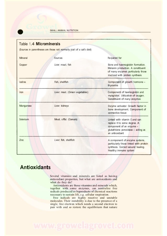 Small Animal Nutrition