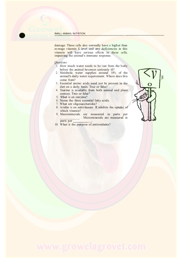 Small Animal Nutrition