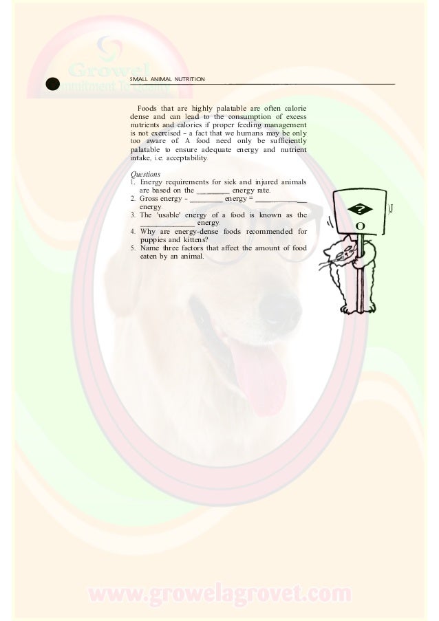 Small Animal Nutrition