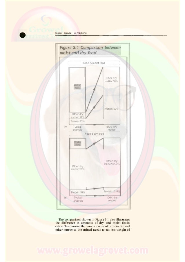 Small Animal Nutrition