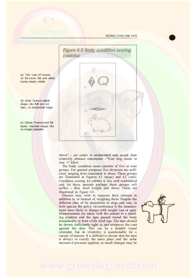 Small Animal Nutrition