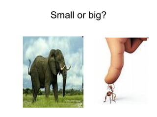 Small or big?
 