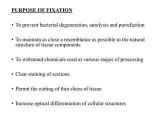 Small biopsy fixatives and their applications | PPTX